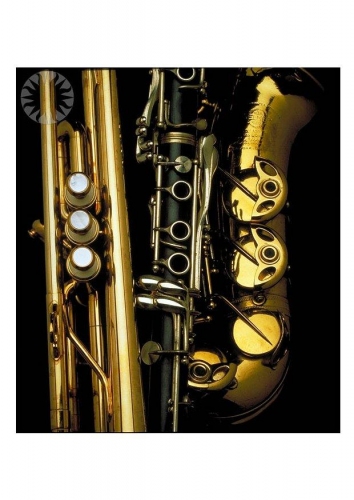 tropette clarinette saxophone